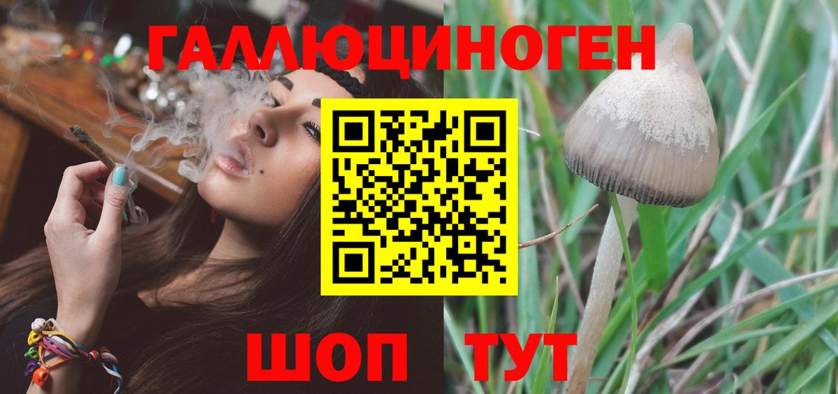 Псилоцибиновые грибы Psilocybine cubensis  Псилоцибиновые грибы Psilocybine cubensis  Вход с VPN  купить наркотики цена  Фролово 